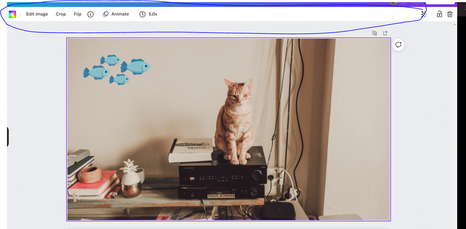 customizable features for canva pictures