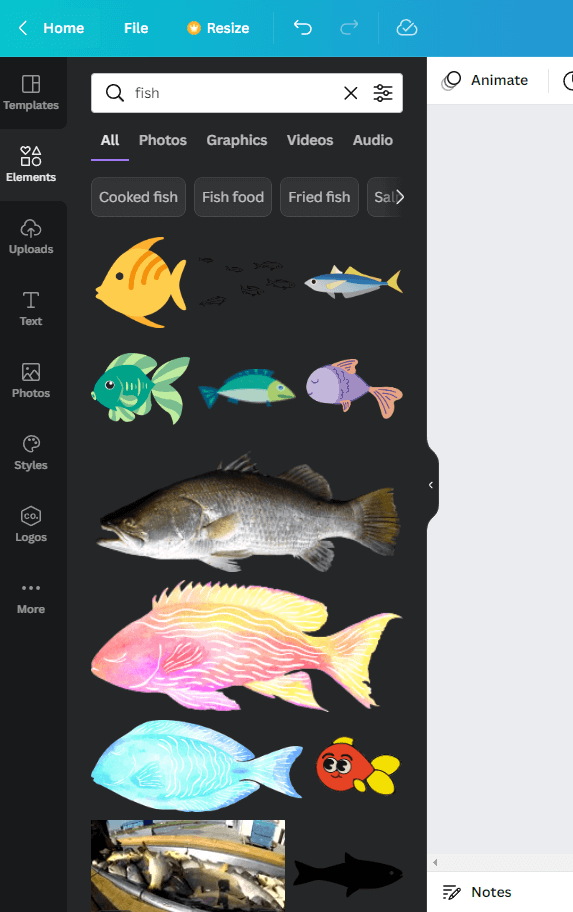 fish elements in canva