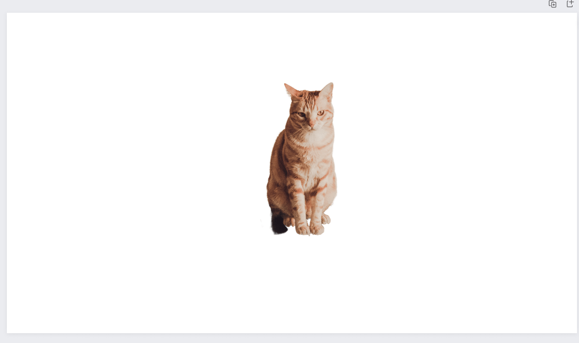 background removed for cat image