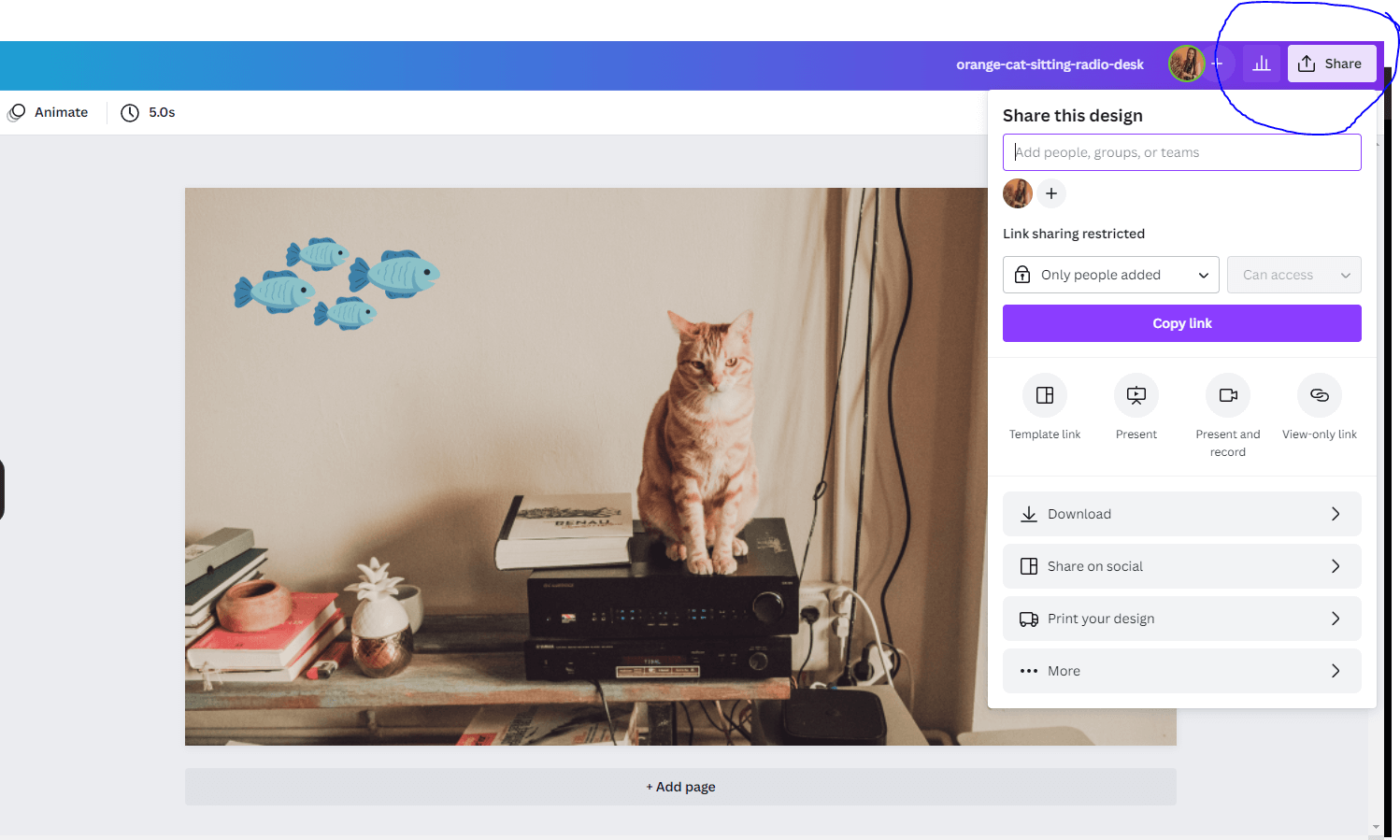 sharing canva picture of cat on radio